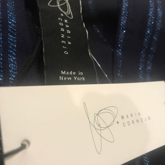 Maria Cornejo Madira maxi dress blue metal stripe - Picture 9 of 10